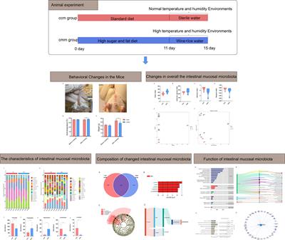 Alteration of intestinal mucosal microbiota in mice with Chinese dampness-heat syndrom diarrhea by improper diet combined with high temperature and humidity environments